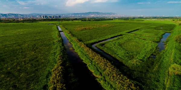 水利部部長鄂竟平檢查永定河防汛并聽取永定河流域投資有限公司工作匯報