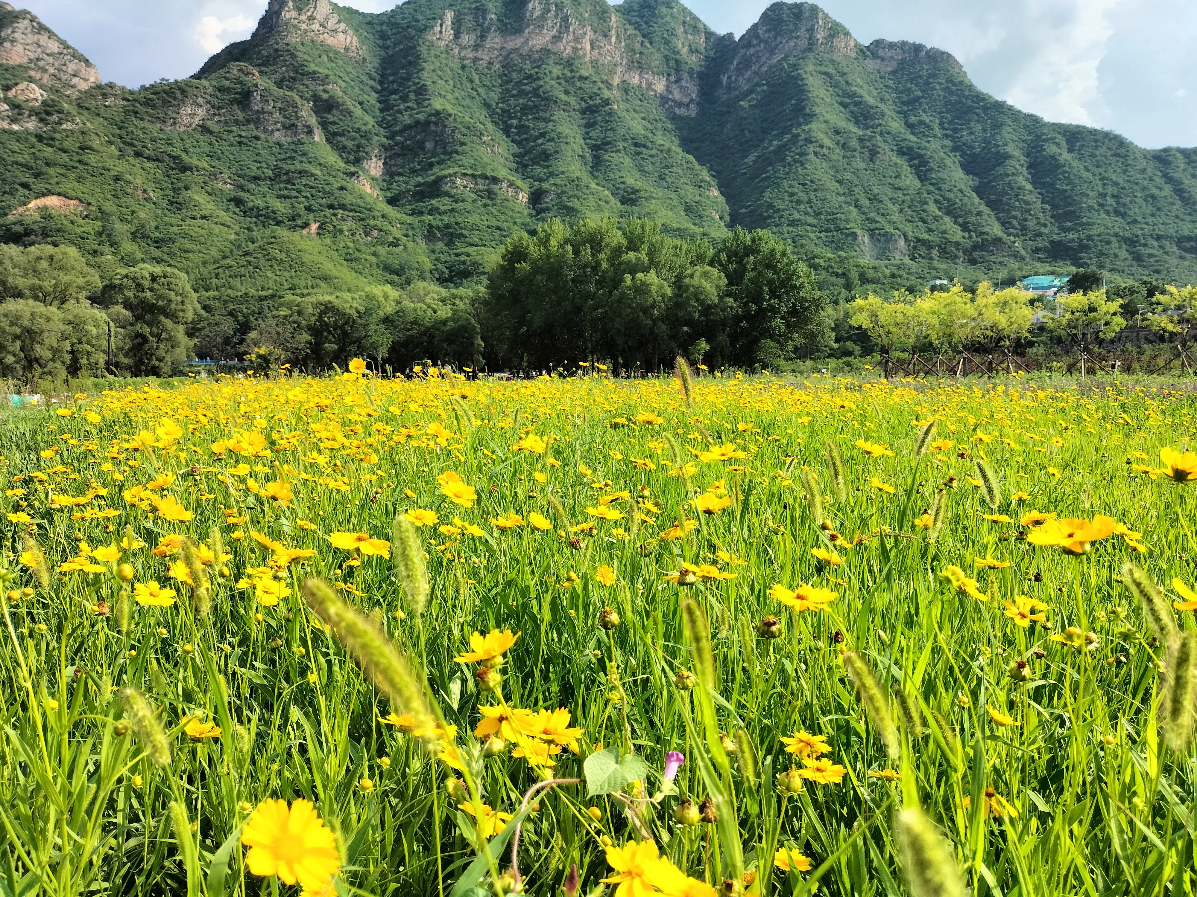 【敬請(qǐng)收看】央視《創(chuàng)新進(jìn)行時(shí)》專題報(bào)道永定河山峽段青白口濕地，將于2月20日精彩上線